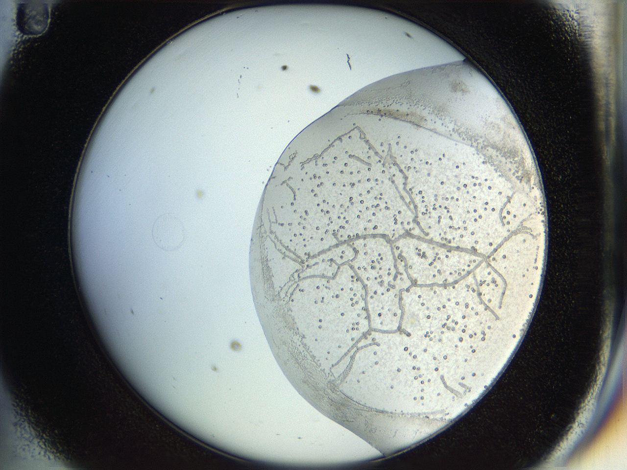 04q1_D11_ImagerDefaults_2.jpg
