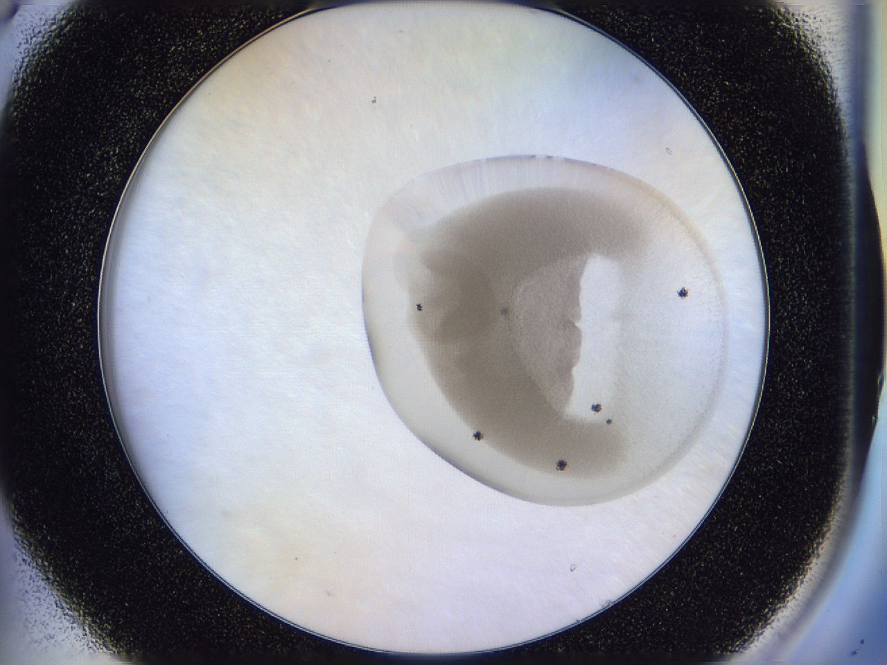 04q2_A5_ImagerDefaults_2.jpg