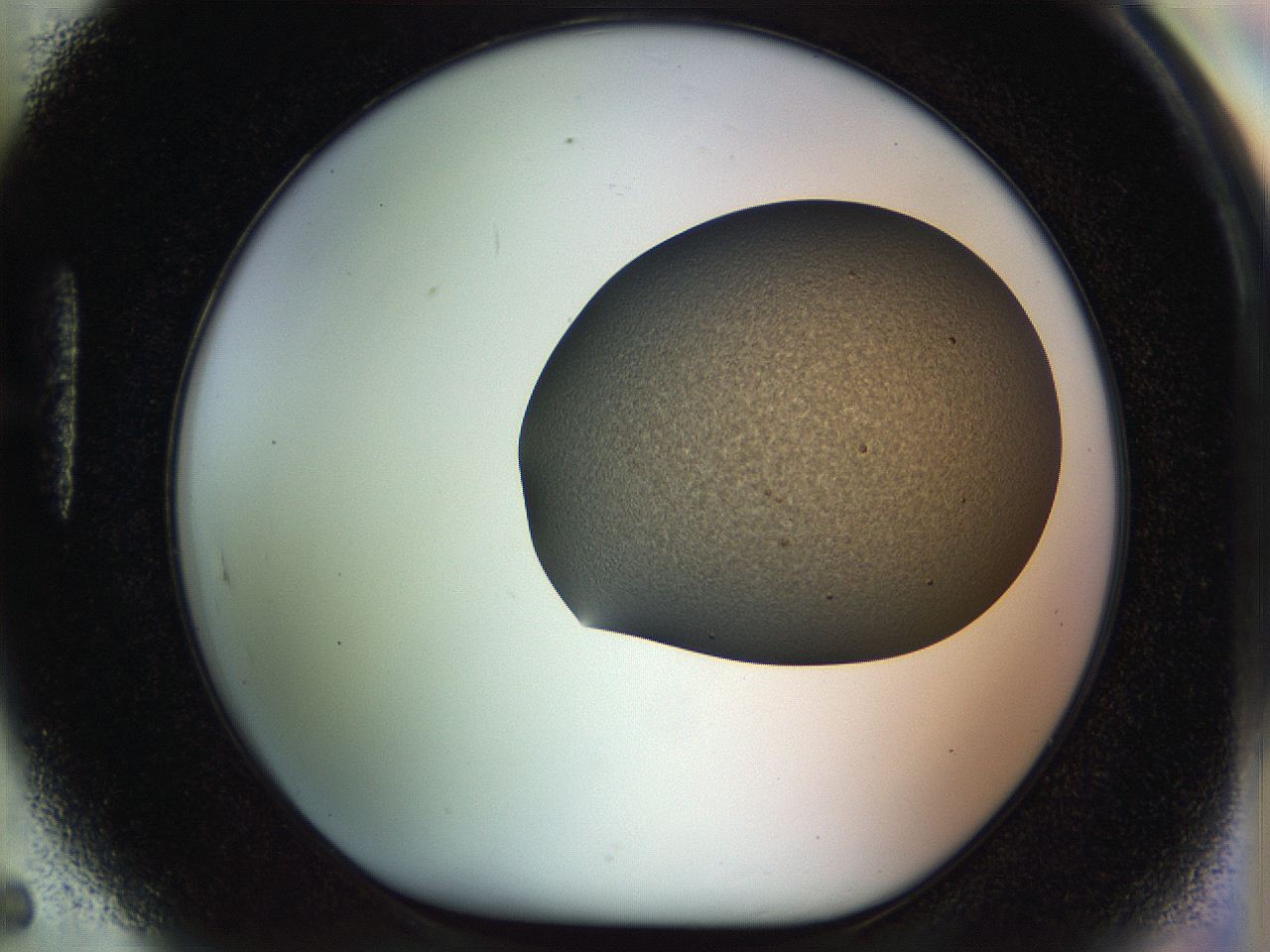 04q5_H5_ImagerDefaults_9.jpg