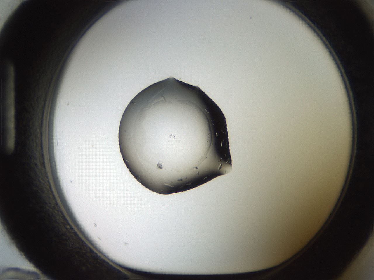 folderID636_plateID3636_batchID22459_wellNum96_profileID1_d1_r323114_ef.jpg