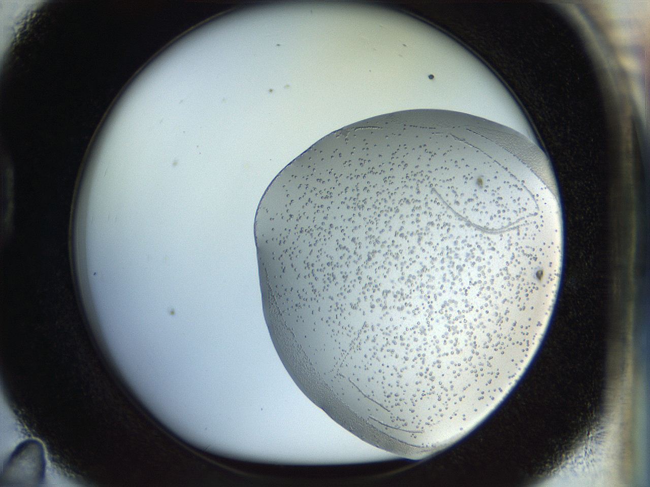 04qb_D11_ImagerDefaults_6.jpg