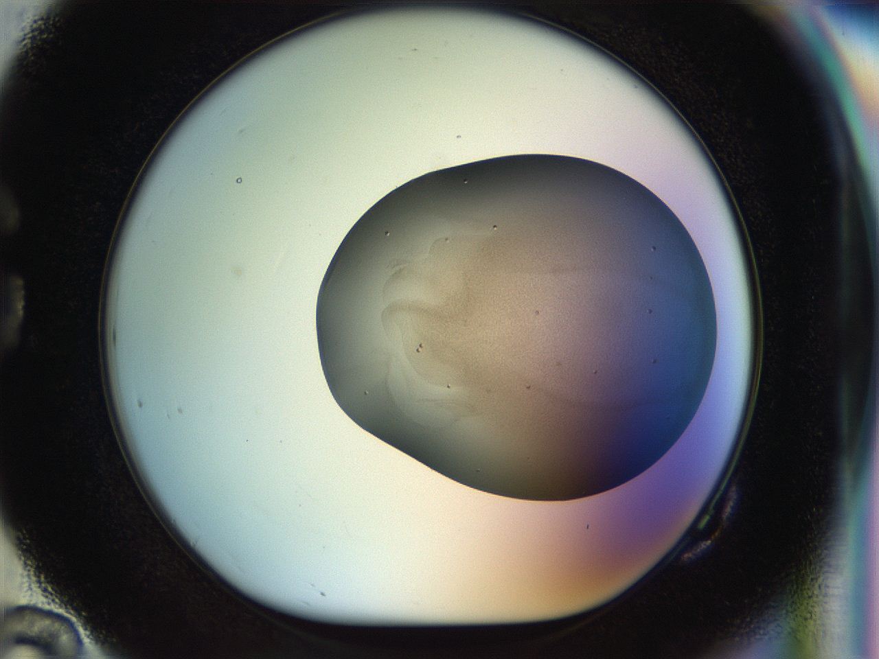 04qh_G10_ImagerDefaults_6.jpg