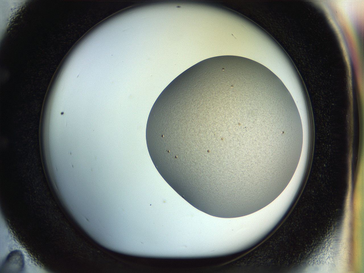 04qh_E11_ImagerDefaults_6.jpg
