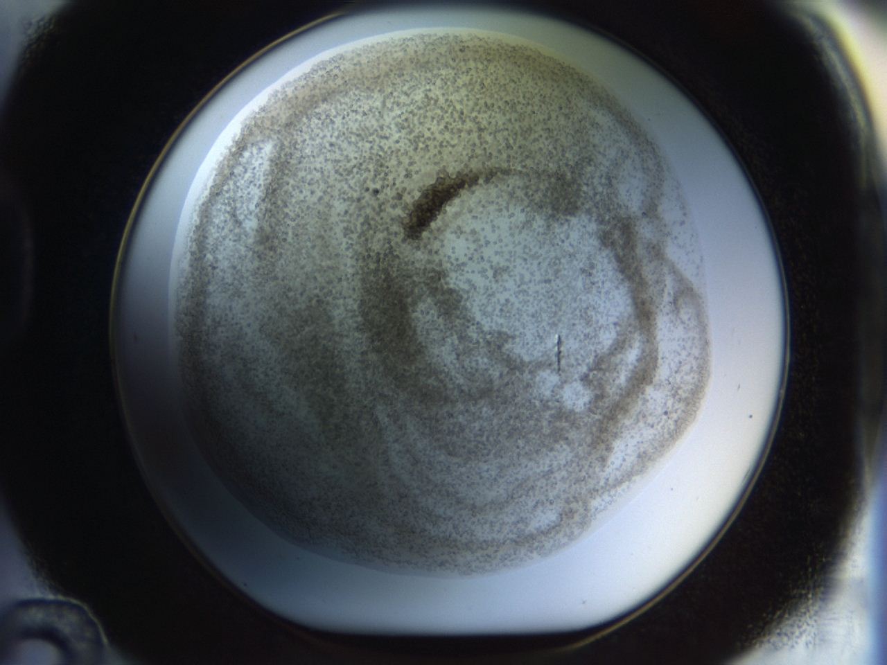 04qq_D12_ImagerDefaults_9.jpg
