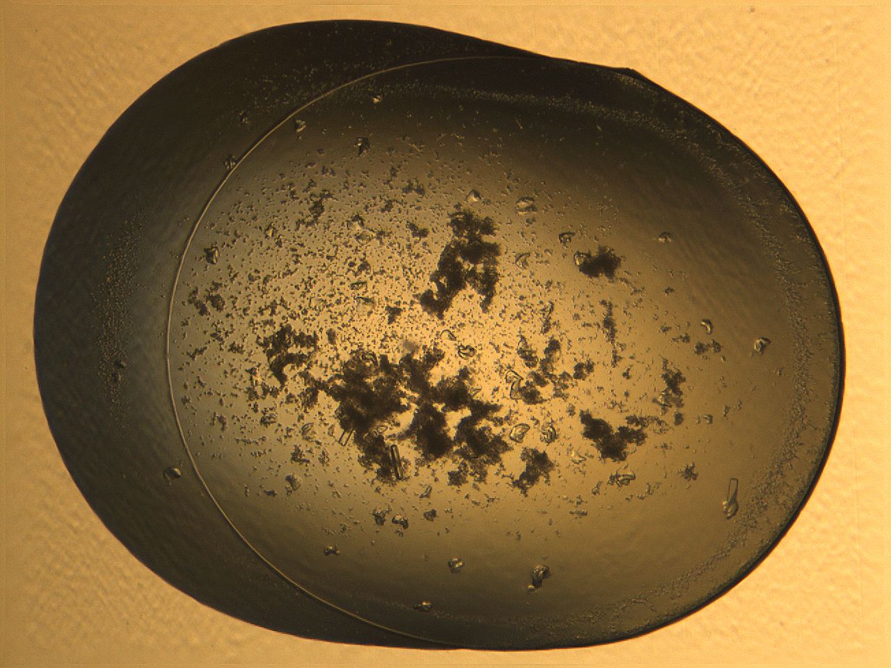 04r2_A11_ImagerDefaults_9.jpg