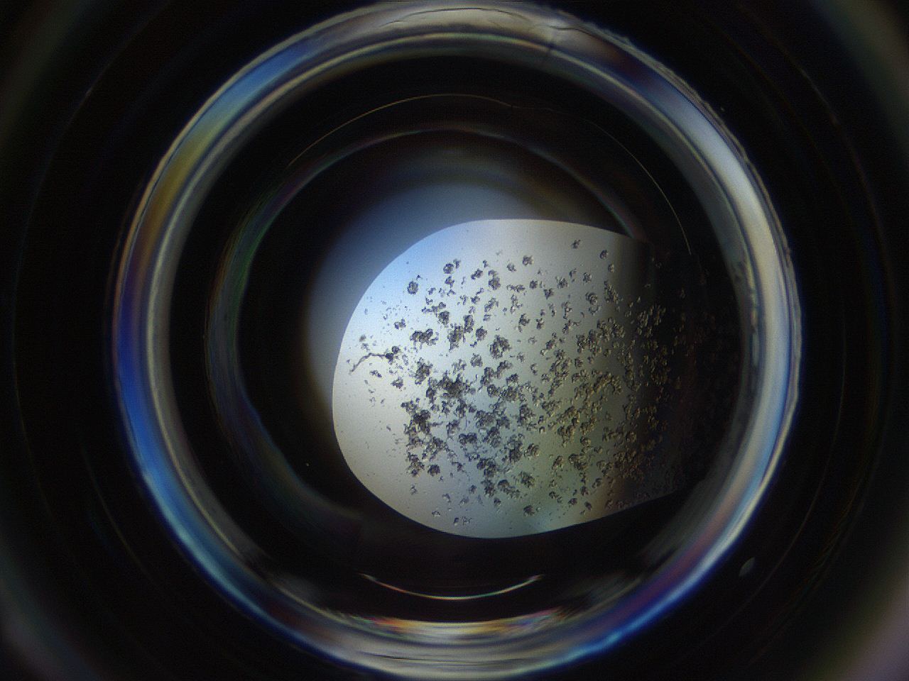 04r3_A2_ImagerDefaults_8.jpg