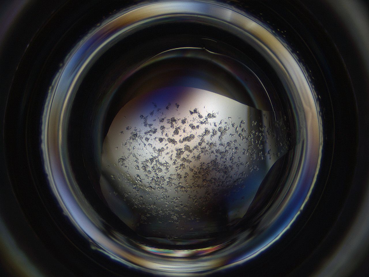 04r3_B1_ImagerDefaults_8.jpg