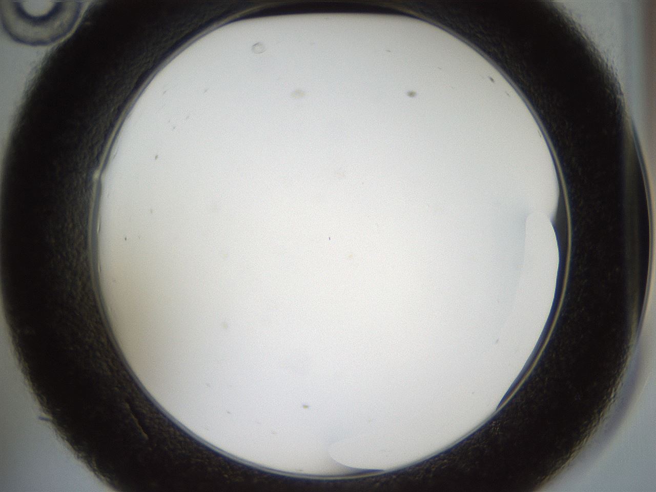 folderID860_plateID860_batchID1002_wellNum34_profileID1_d2_r30418_ef.jpg