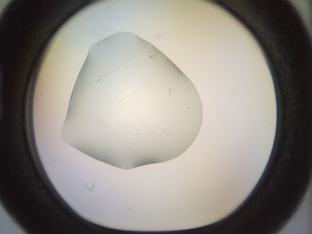 folderID921_plateID1921_batchID8271_wellNum16_profileID1_d1_r127925_ef.jpg