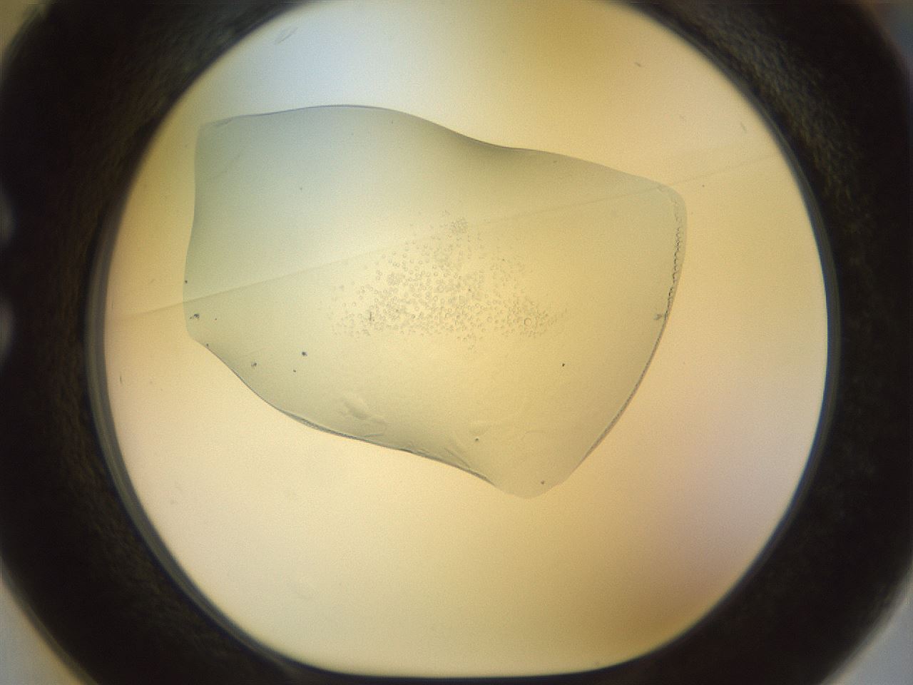 folderID921_plateID1921_batchID8271_wellNum25_profileID1_d1_r127934_ef.jpg
