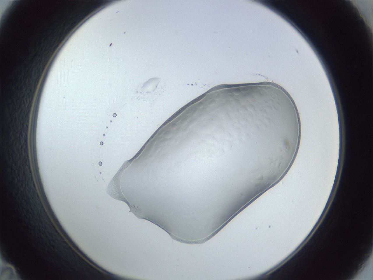 folderID925_plateID925_batchID1348_wellNum35_profileID1_d1_r33551_ef.jpg
