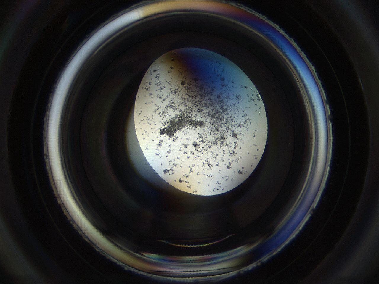 04r5_B6_ImagerDefaults_8.jpg