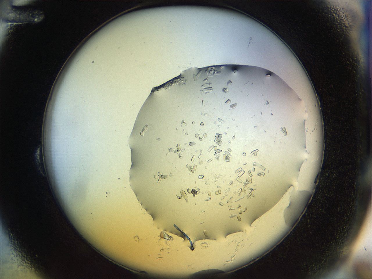 04r6_B12_ImagerDefaults_9.jpg