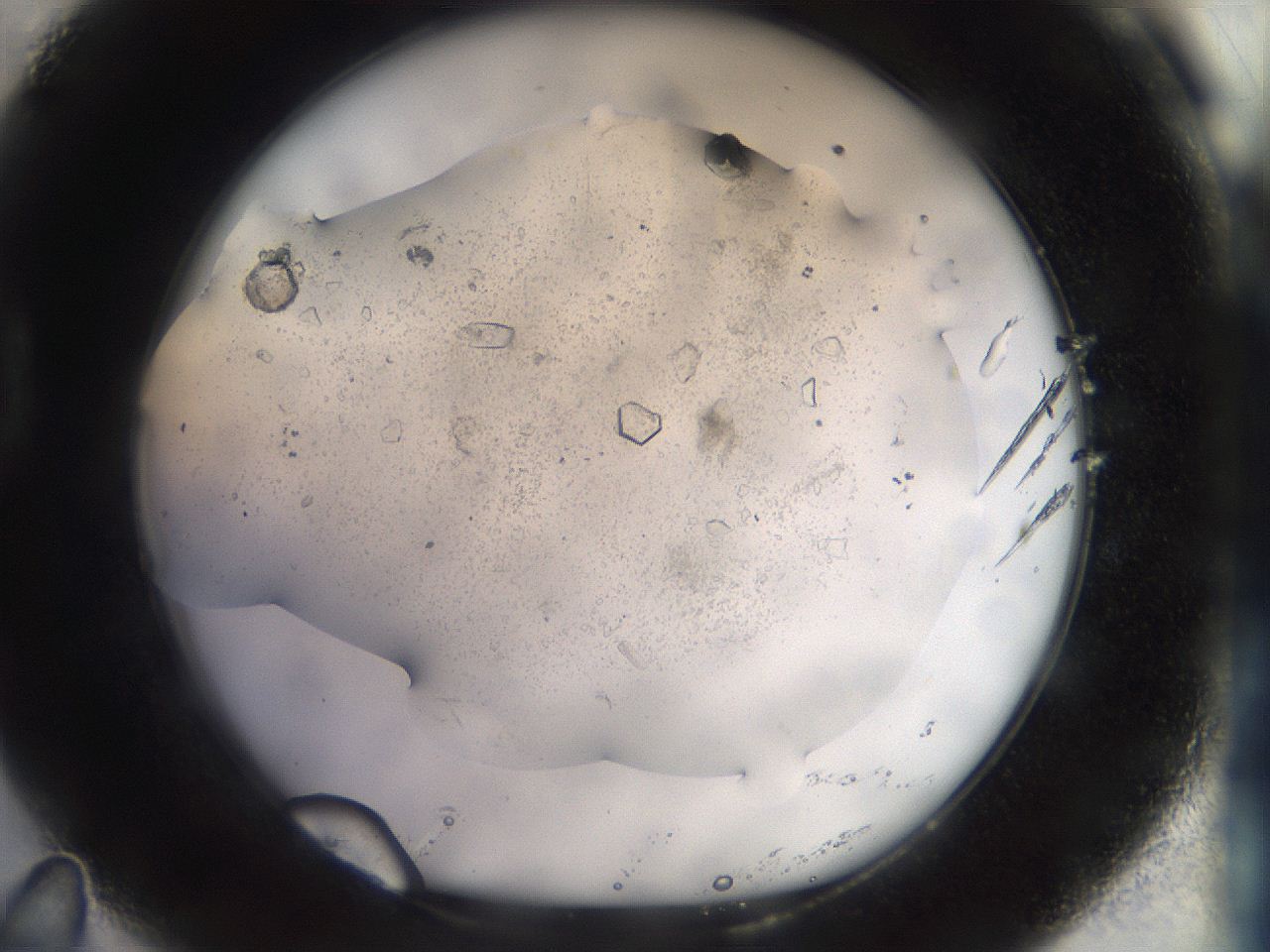 04r7_D11_ImagerDefaults_9.jpg