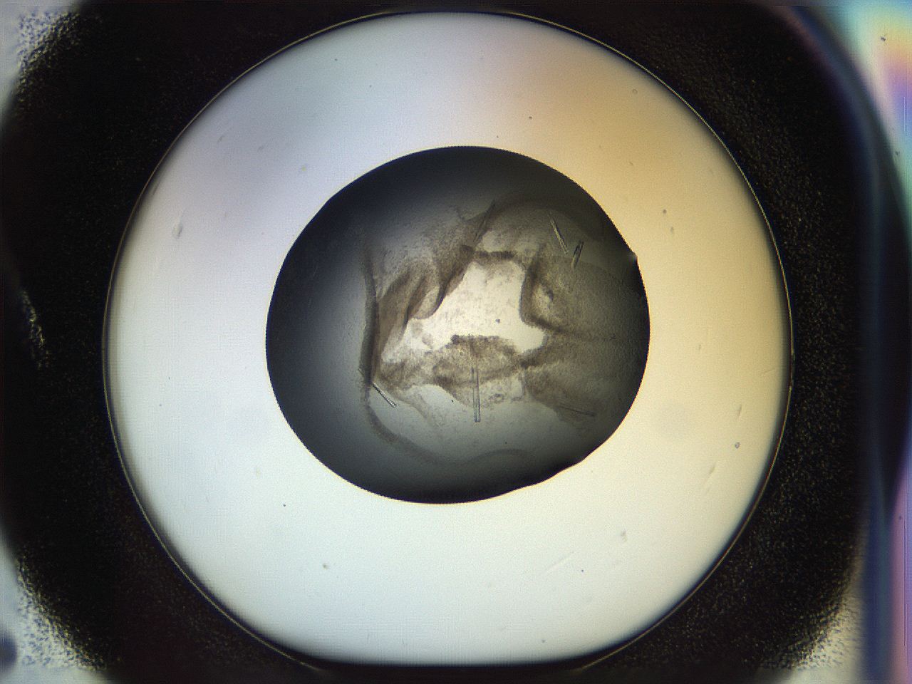 04r8_A5_ImagerDefaults_6.jpg