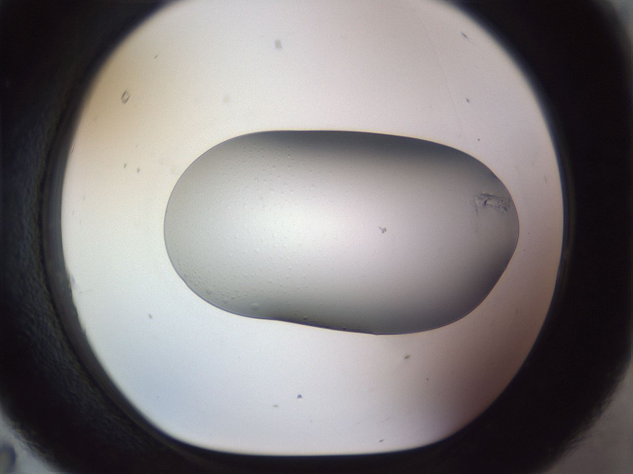 folderID958_plateID1958_batchID8614_wellNum95_profileID1_d1_r133906_ef.jpg