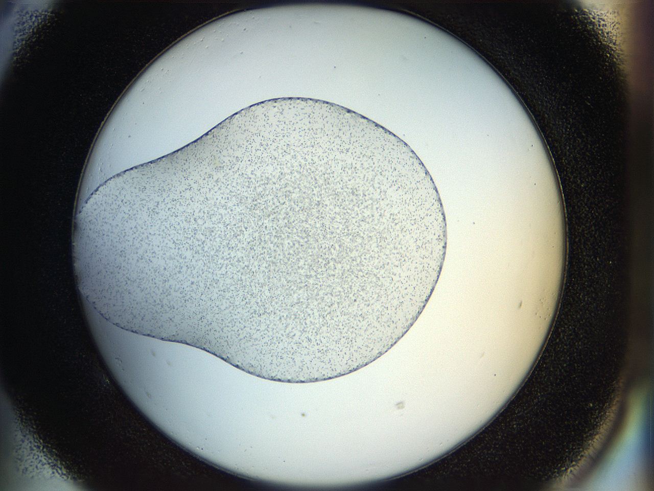 04r9_E5_ImagerDefaults_0.jpg