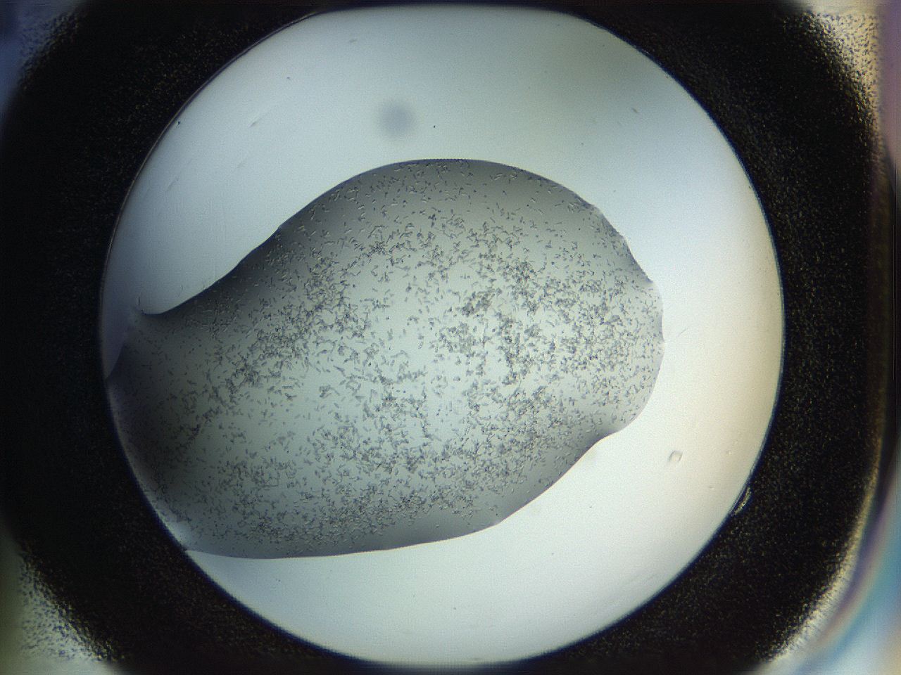 04r9_E4_ImagerDefaults_6.jpg