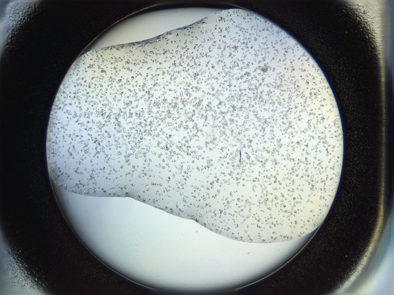 04r9_B4_ImagerDefaults_6.jpg