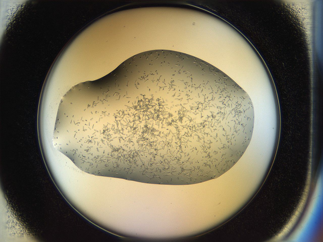 04r9_B1_ImagerDefaults_7.jpg