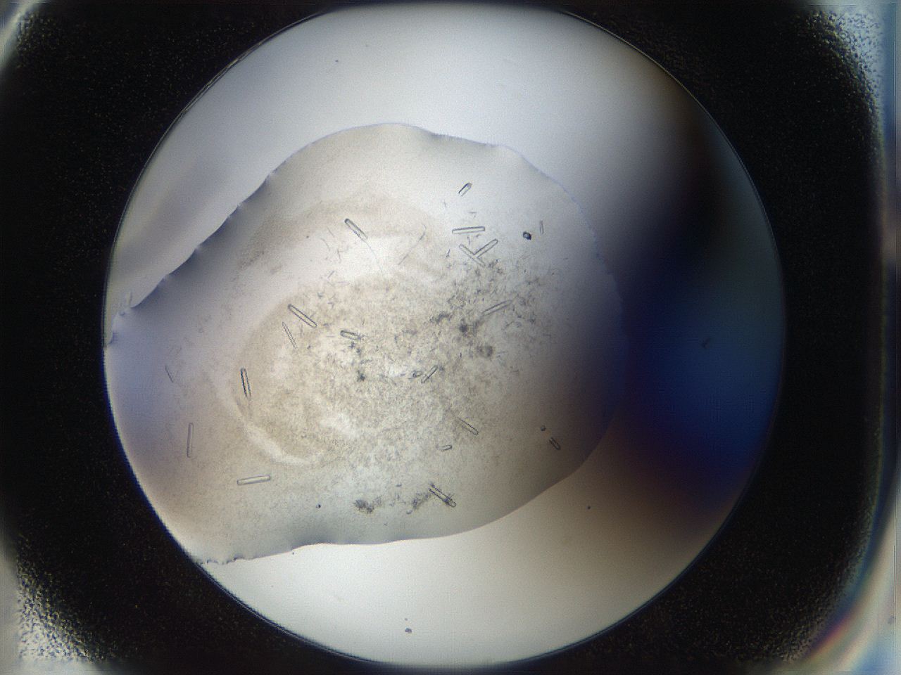 04r9_G6_ImagerDefaults_9.jpg