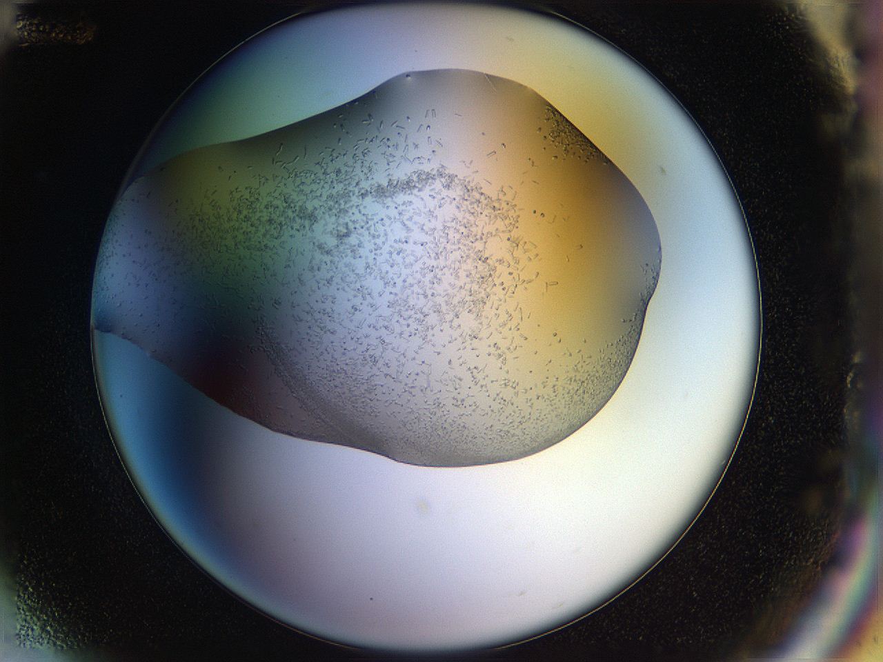 04r9_G12_ImagerDefaults_6.jpg
