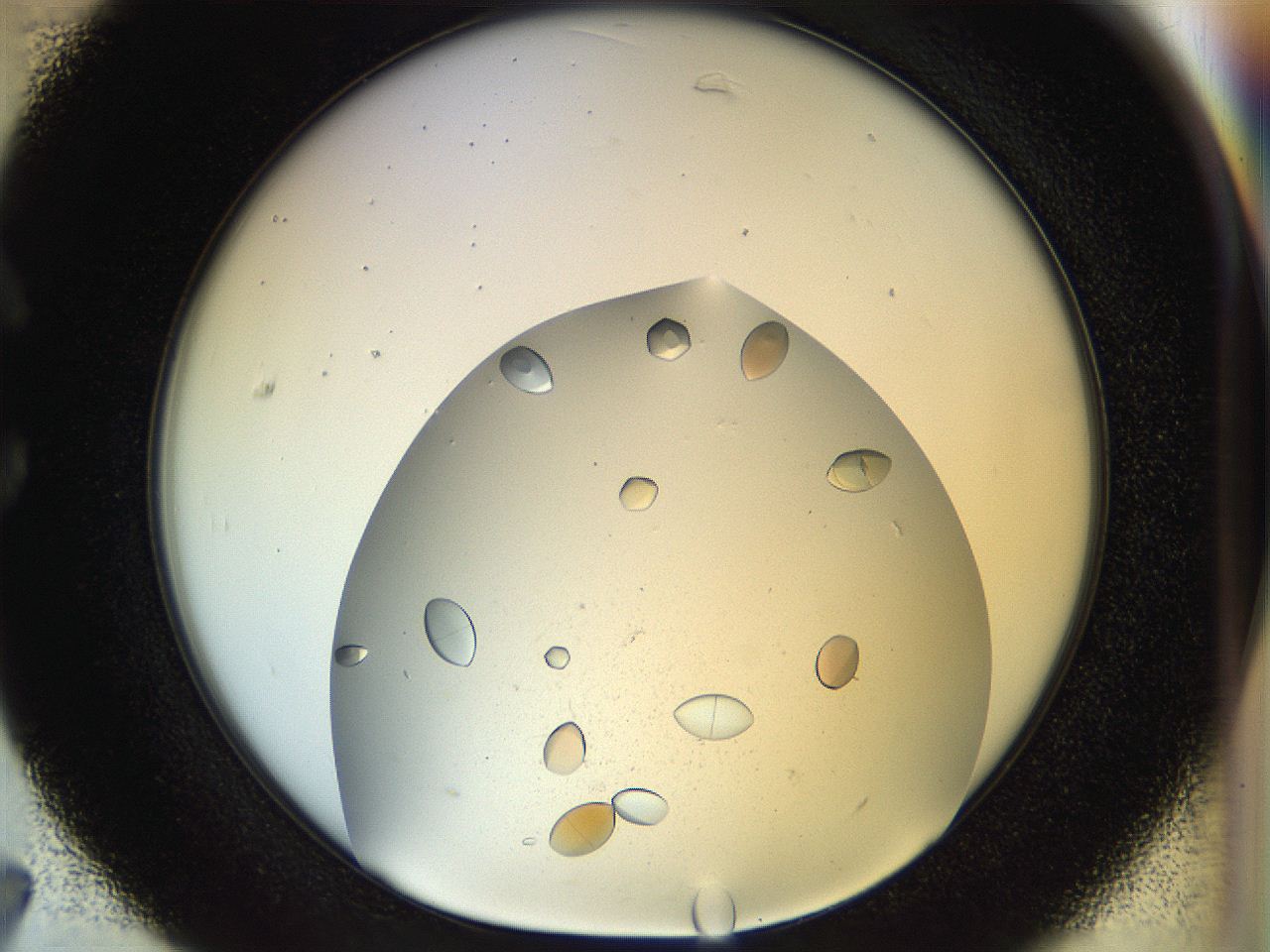 04ra_C7_ImagerDefaults_9.jpg