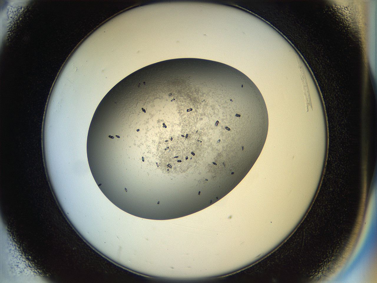 04ra_C8_ImagerDefaults_9.jpg