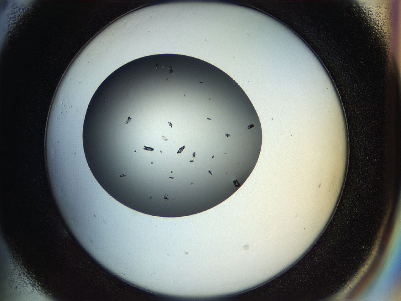 04ra_E5_ImagerDefaults_9.jpg
