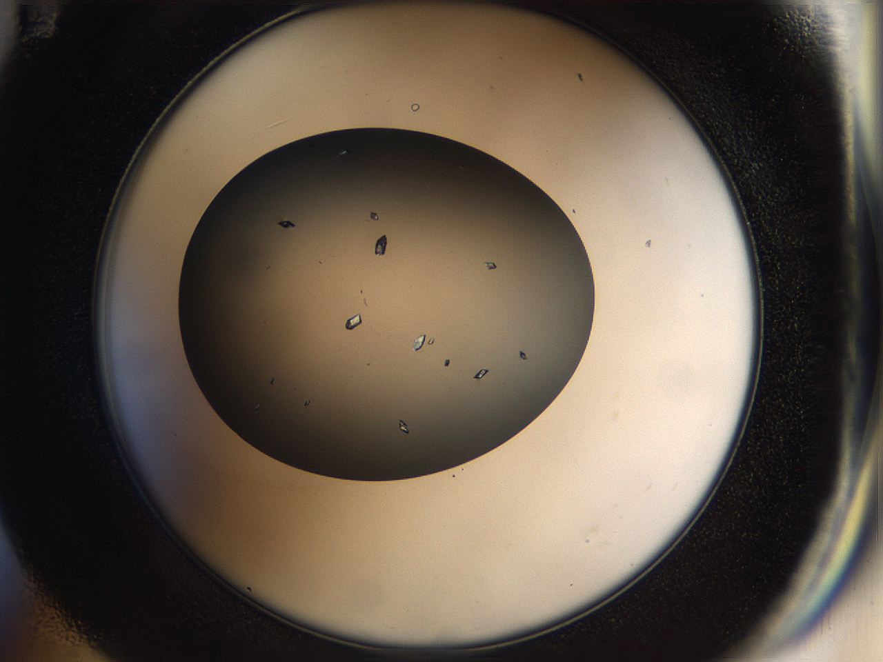 04ra_E11_ImagerDefaults_9.jpg