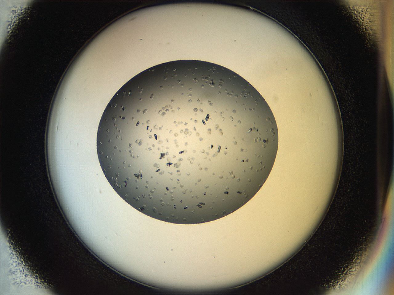 04ra_D7_ImagerDefaults_9.jpg