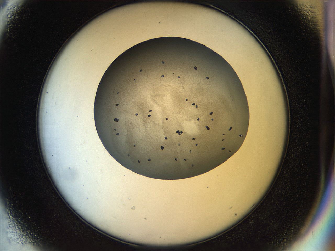 04ra_D8_ImagerDefaults_6.jpg