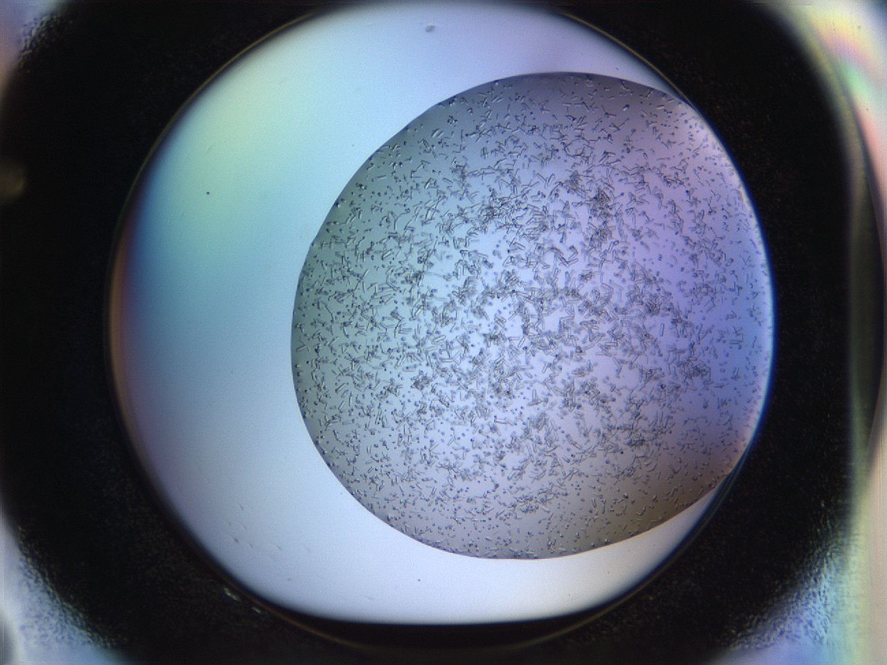 04ra_F8_ImagerDefaults_6.jpg