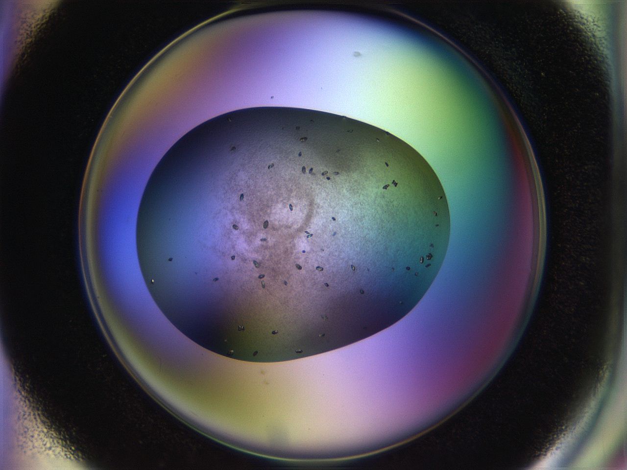 04ra_G1_ImagerDefaults_9.jpg