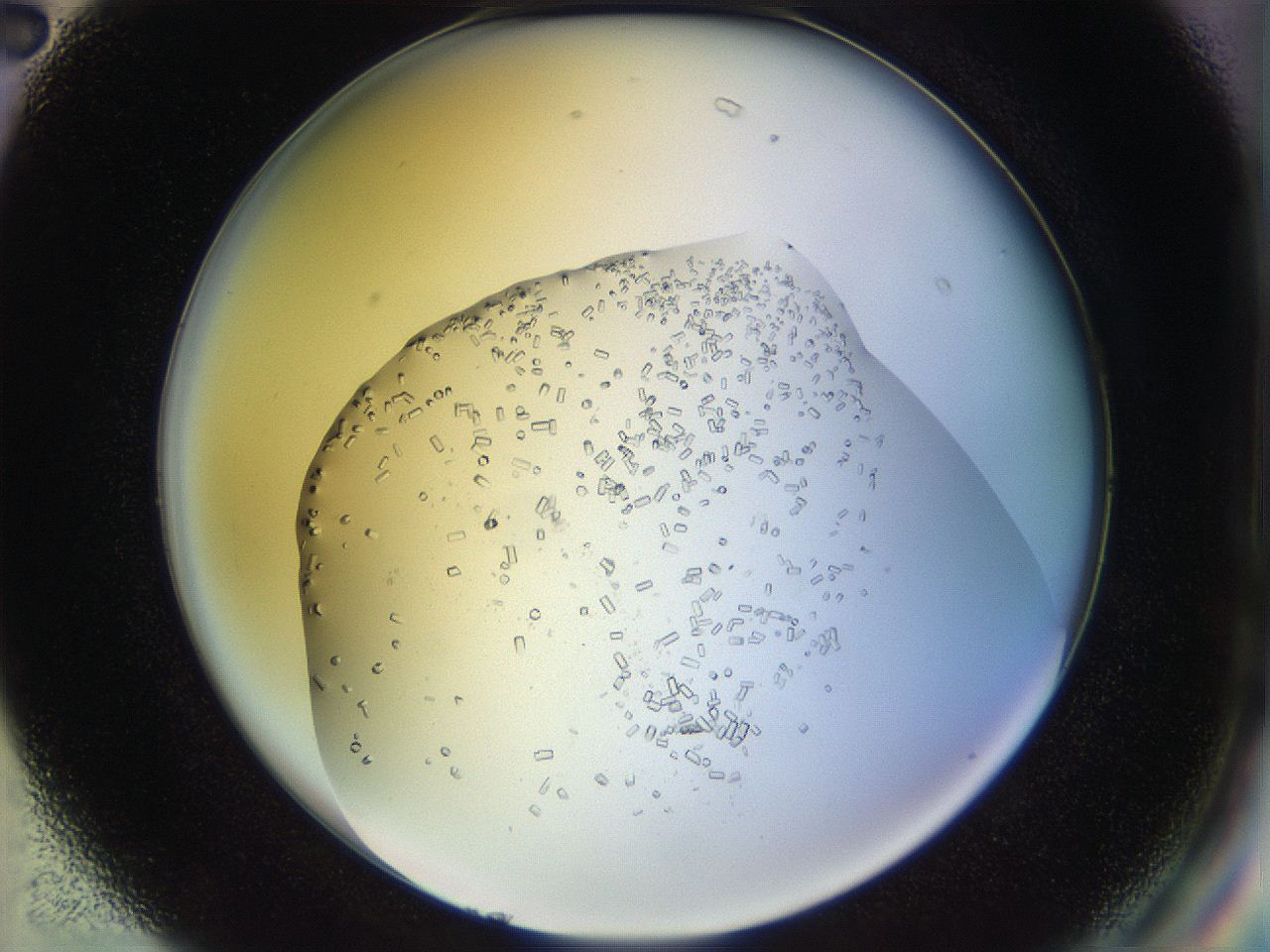 04ra_G2_ImagerDefaults_9.jpg