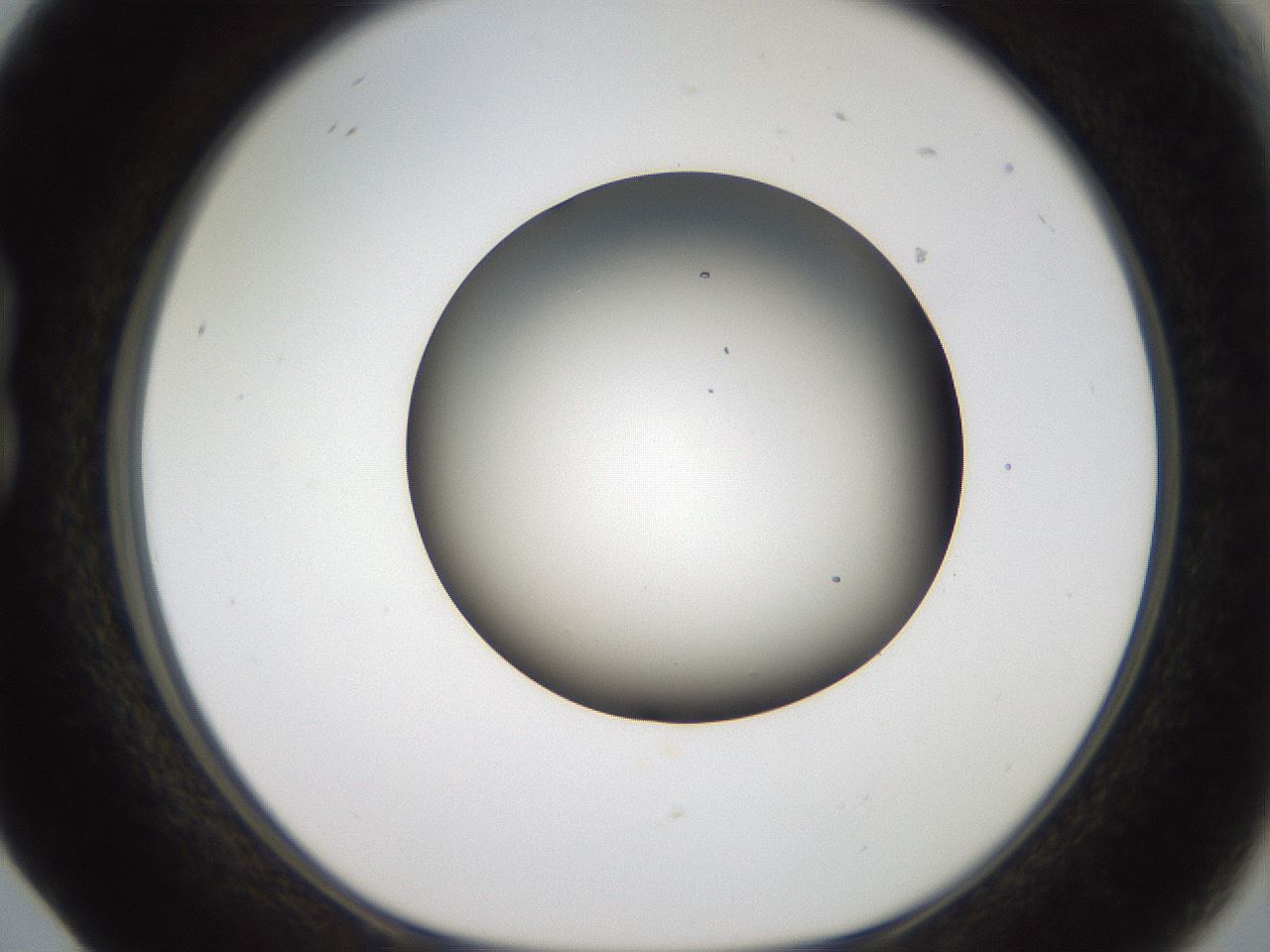 folderID984_plateID1984_batchID8375_wellNum17_profileID1_d1_r129594_ef.jpg