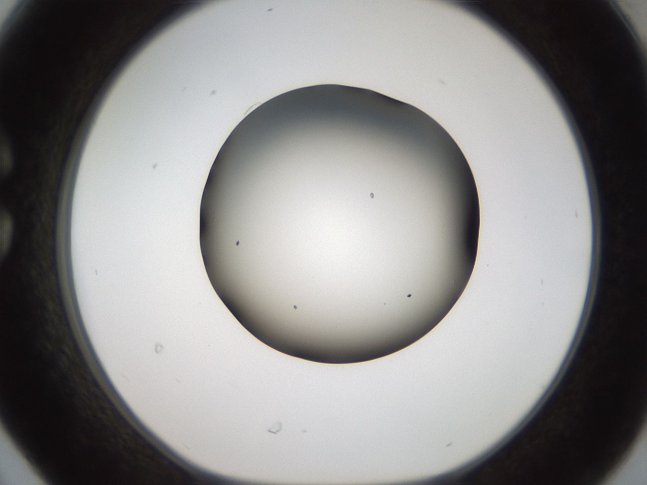 folderID984_plateID1984_batchID8549_wellNum30_profileID1_d1_r129607_ef.jpg