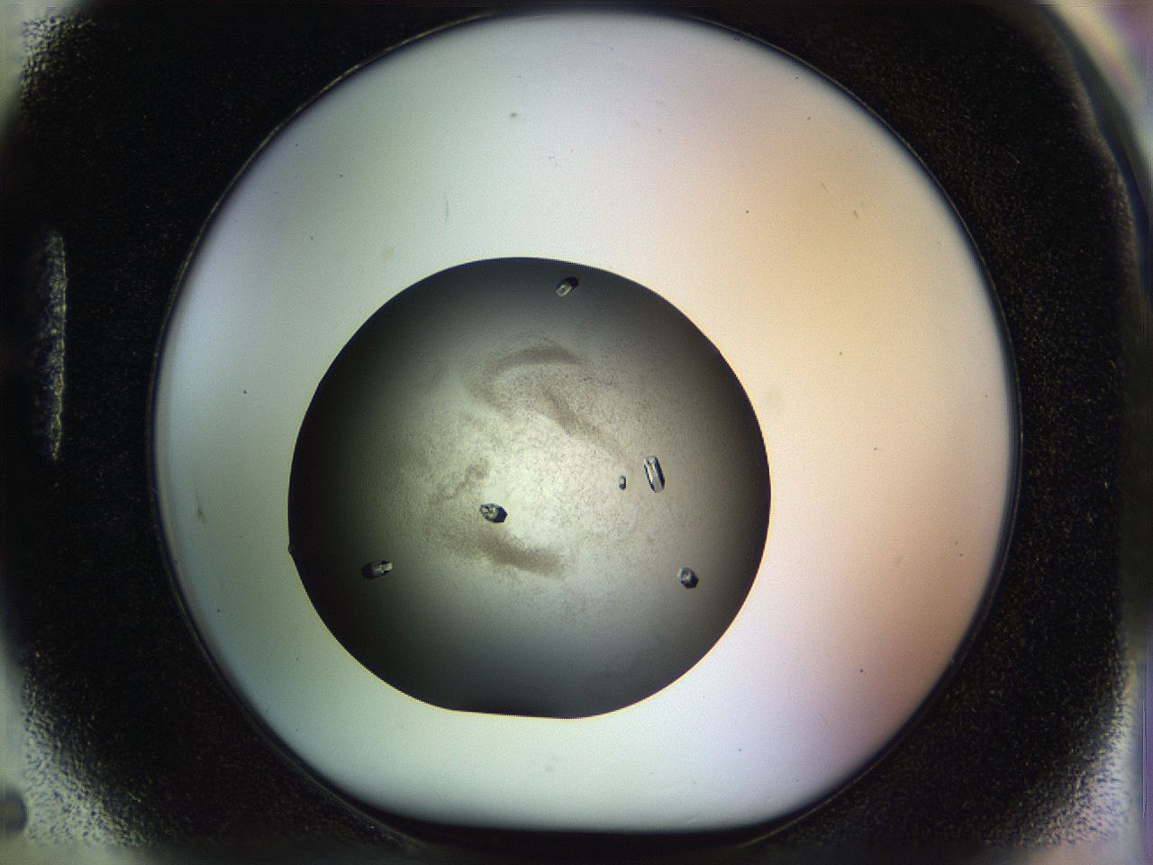 04ra_H5_ImagerDefaults_9.jpg