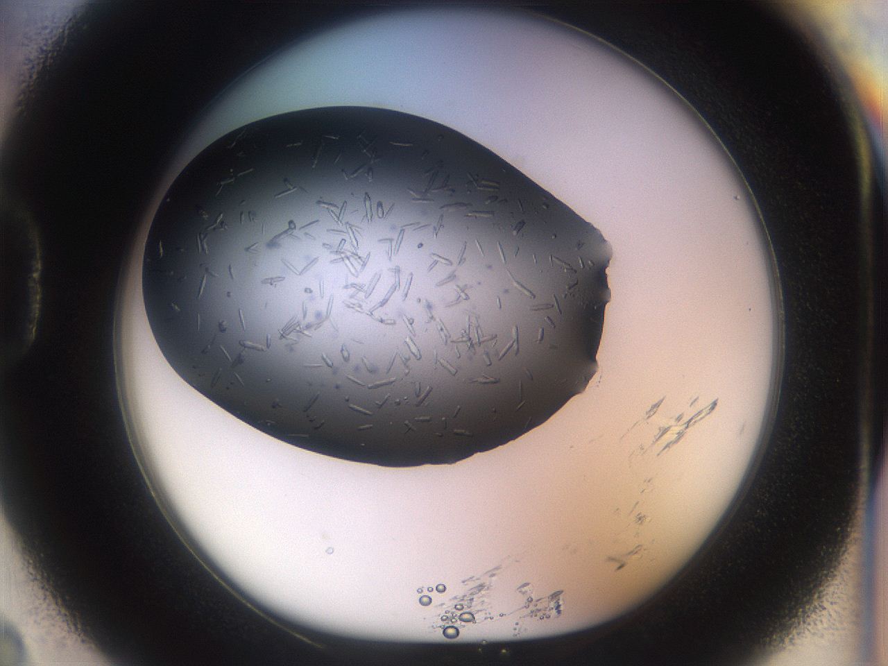 04rb_D2_ImagerDefaults_9.jpg