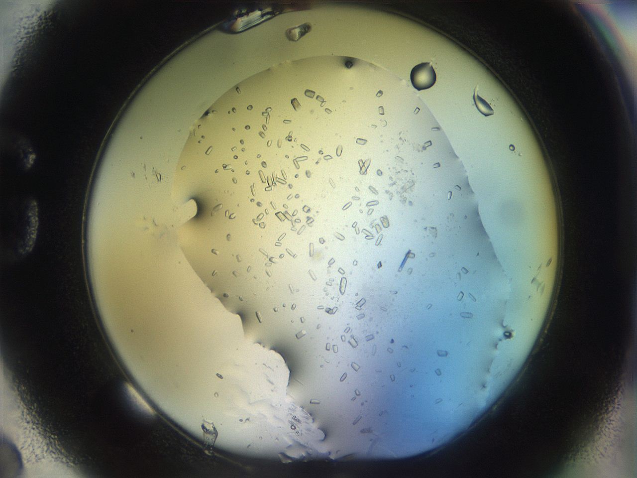 04rb_G2_ImagerDefaults_9.jpg