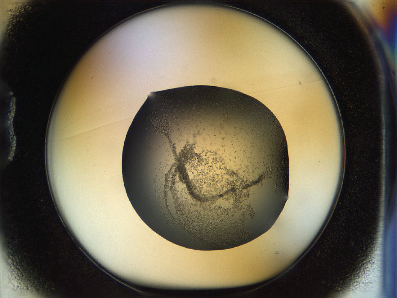 04rb_B1_ImagerDefaults_6.jpg