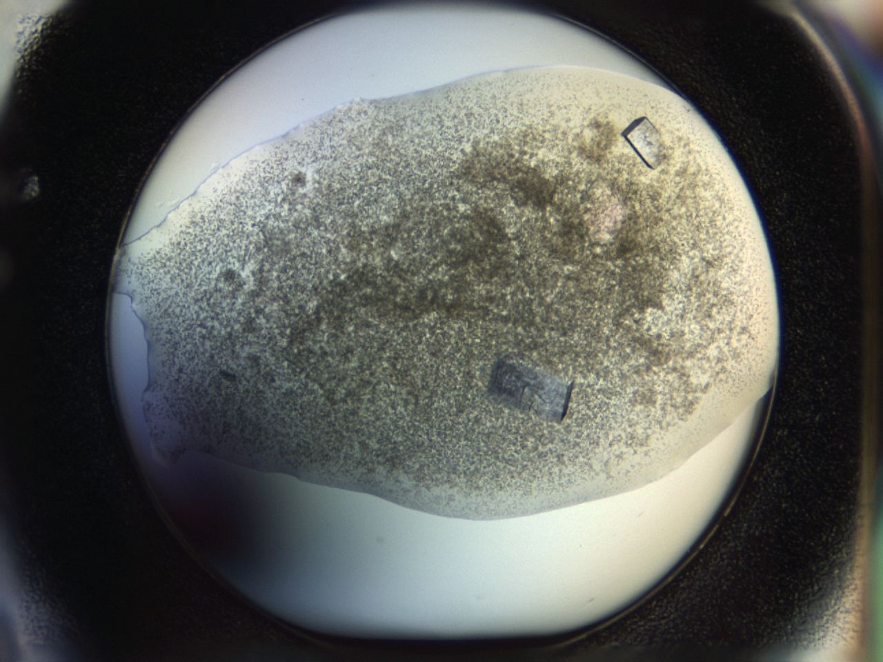 04rc_F4_ImagerDefaults_8.jpg