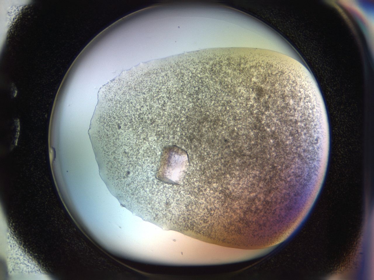 04rc_G4_ImagerDefaults_9.jpg