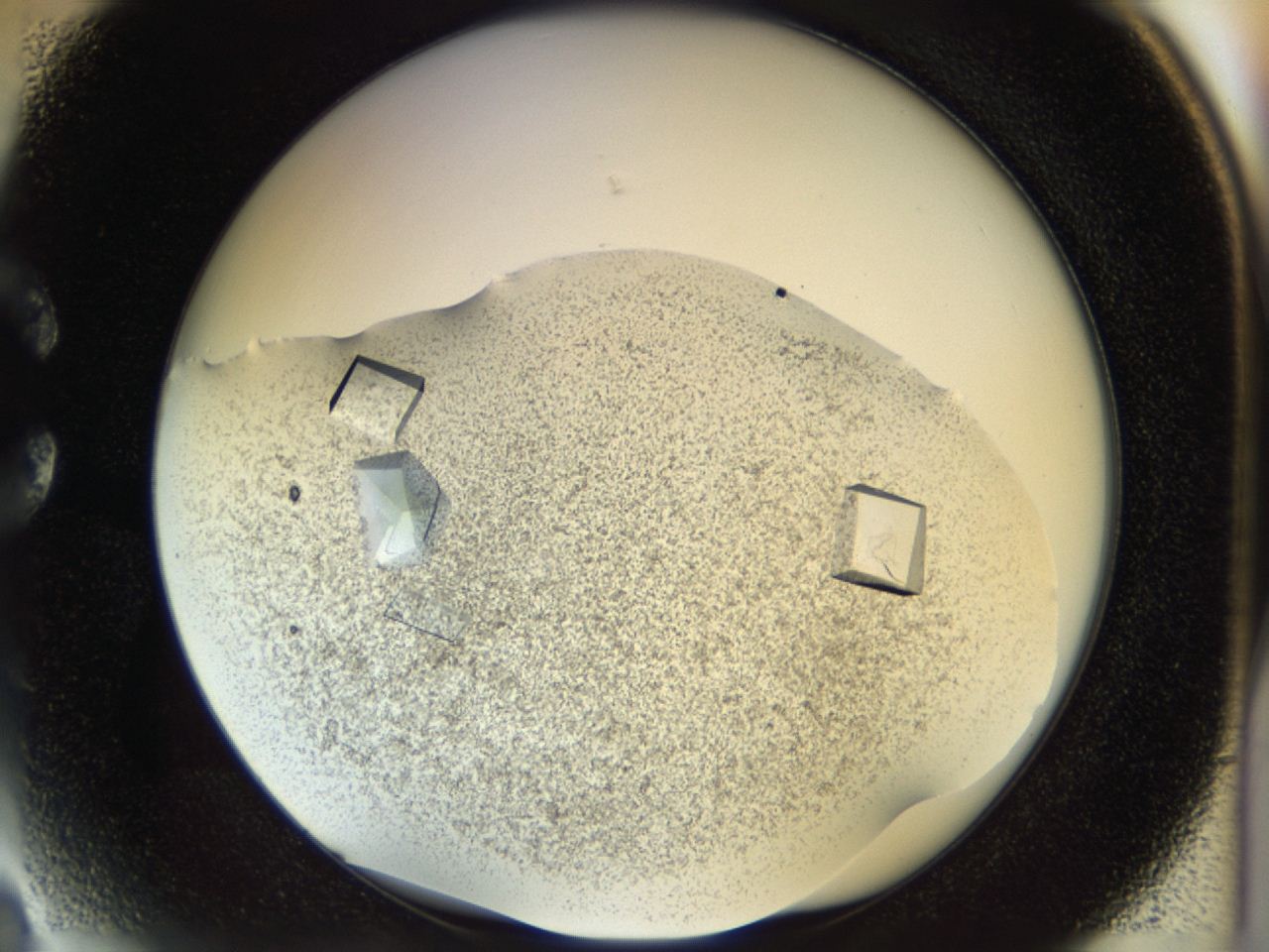 04rc_C3_ImagerDefaults_9.jpg