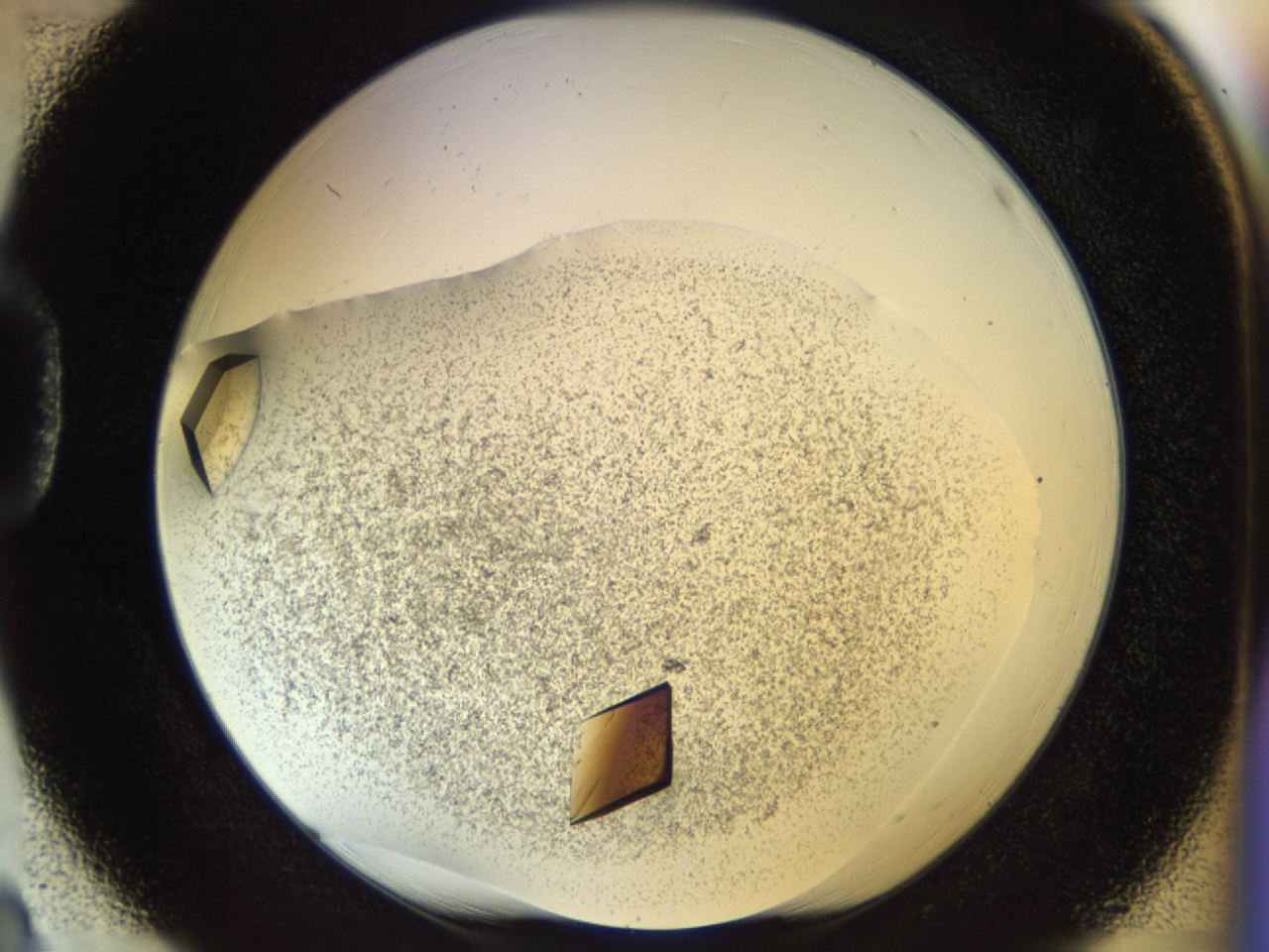 04rc_D3_ImagerDefaults_8.jpg