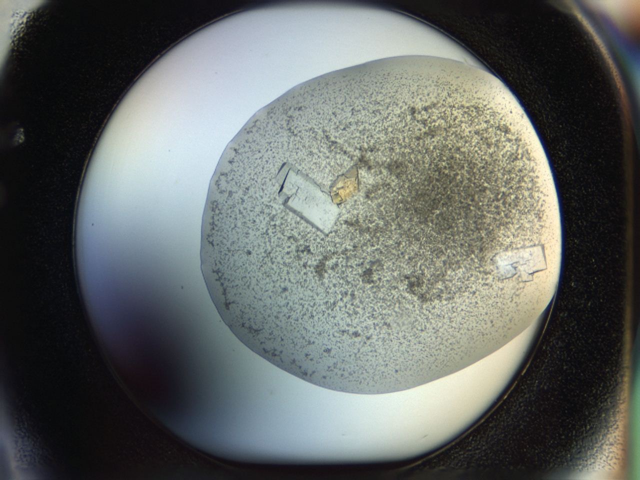 04rd_F4_ImagerDefaults_7.jpg