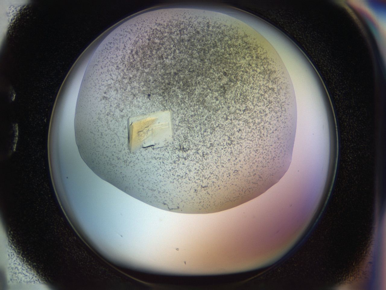 04rd_G4_ImagerDefaults_7.jpg