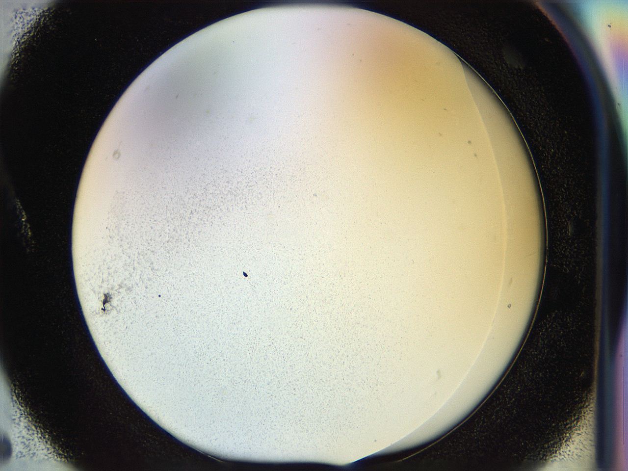 04rr_A5_ImagerDefaults_0.jpg