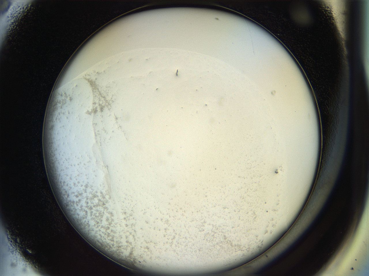 04rr_A8_ImagerDefaults_1.jpg