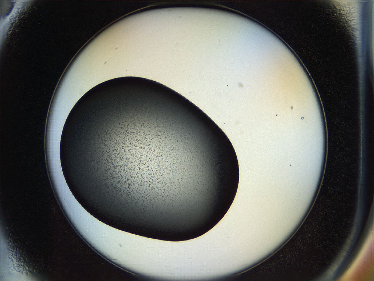 04rr_A3_ImagerDefaults_1.jpg